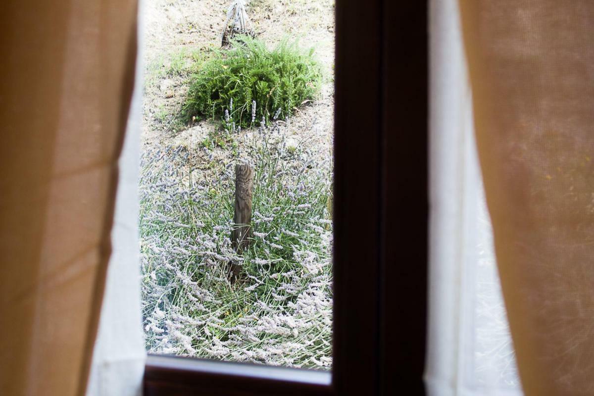 Agriturismo La Ca Veja Monforte dʼAlba Eksteriør bilde