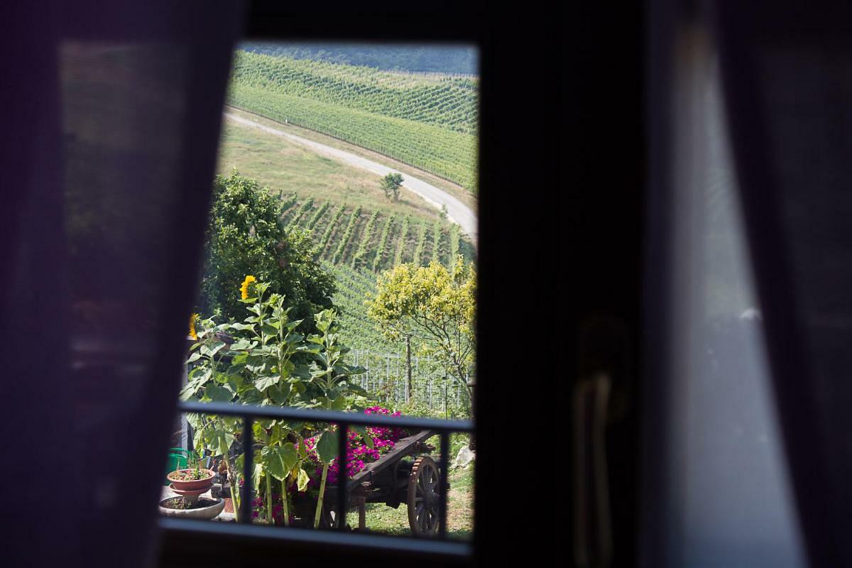 Agriturismo La Ca Veja Monforte dʼAlba Eksteriør bilde
